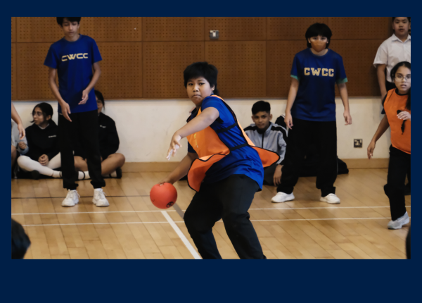 Inter-House Dod...