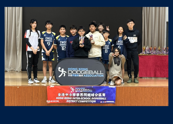 Inter-school Dodgeball Competition